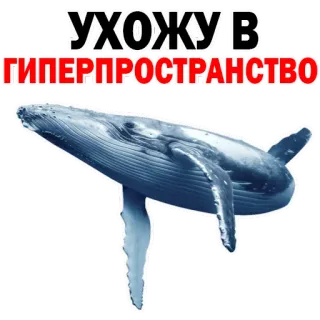 🙈 УХОЖУ В ГИПЕРПРОСТРАНСТВО paus, hewan, laut, samudra, luar angkasa telegram sticker