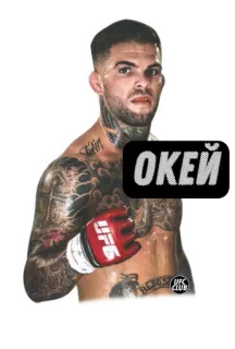 👌 ОКЕЙ ufc, mma, ต่อสู้, กีฬา, มวย telegram sticker