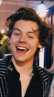 😃 Harry Styles harry styles, singer, celebrity, smiling, man telegram sticker