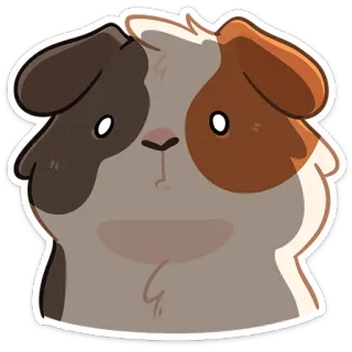 😯 cobaya, mascota, animal, lindo, roedor telegram sticker