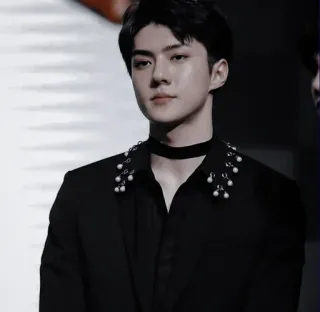 🌑 portrait, man, kpop, exo, sehun, singer, actor telegram sticker