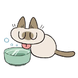 🍵 cat, siamese cat, animal, cartoon, drinking, pet, cute, bowl telegram sticker