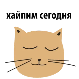 😆 хайпим сегодня gato, animal, texto, russo telegram sticker
