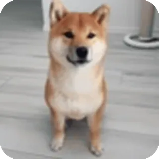 🌟