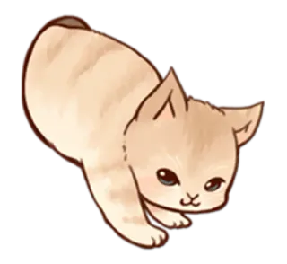 😺 chat, chaton, animal, mignon, animal de compagnie, chat domestique telegram sticker
