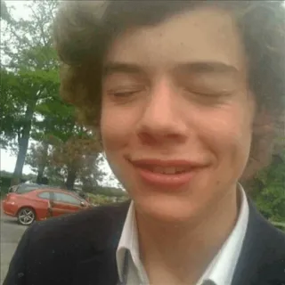🍩 Harry Styles harry styles, singer, celebrity, pop star telegram sticker