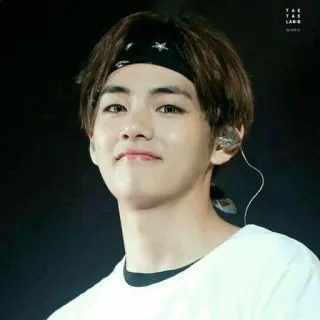 ✨ V V, BTS, K-pop, Korean pop, idol, singer, musician telegram sticker