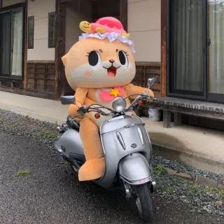 🐻 mascotte, mignon, animal, scooter, personnage telegram sticker