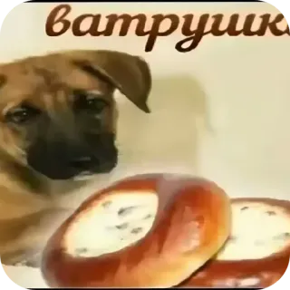 🤘 ватрушки telegram sticker