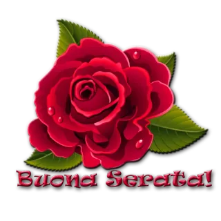 🌠 Buona Serata! роза, цветок, приветствие, добрый вечер, итальянский telegram sticker