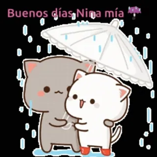 🎈 Buenos días, Nina mía katten, paraplu, regen, schattig, kawaii, liefde, ochtend whatsapp sticker