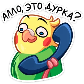 📱 АЛО, ЭТО ДУРКА? นก, ค็อกกาเทล, โทรศัพท์, รัสเซีย, การ์ตูน telegram sticker