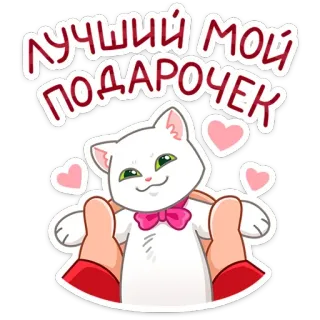 🤗 ЛУЧШИЙ МОЙ ПОДАРОЧЕК cat, gift, cute, love, heart, animal, valentine's day telegram sticker