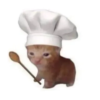 😃 kucing, koki, anak kucing, memasak, sendok, topi, imut telegram sticker