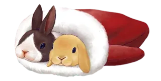 🐰 coelho, coelhinho, fofo, animal, animal de estimação, adorável telegram sticker
