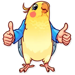 👍 pássaro, calopsita, polegar para cima, fofo, animal, positivo telegram sticker