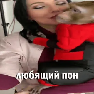 ❤️ любящий пон mulher, macaco, afeição, animais, amor, humano whatsapp sticker