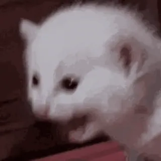 Больше стиков тут: @stikery4 whatsapp stickers