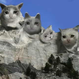 🐱 猫, マウントラシュモア, ミーム, 面白い, 悲しい, 猫, 動物, 石 telegram sticker