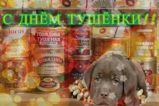 🥫 С днём тушенки! canned meat, russian, dog, food, celebration telegram sticker