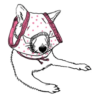 🙈 Hund, Maske, Tier, lustig, süß, Haustier, Meme telegram sticker