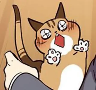 🐈 gato, dibujo animado, animal, lindo, mascota, divertido telegram sticker
