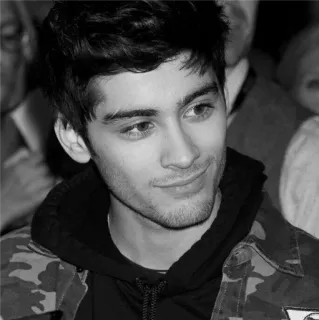 ▪️ Zayn Malik người, ca sĩ, người nổi tiếng, chân dung telegram sticker