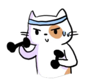 🏋 chat, entraînement, haltère, exercice, fitness, dessin animé telegram sticker