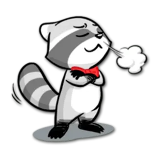 😤 raton laveur, animal, dessin animé, mignon, nœud papillon whatsapp sticker
