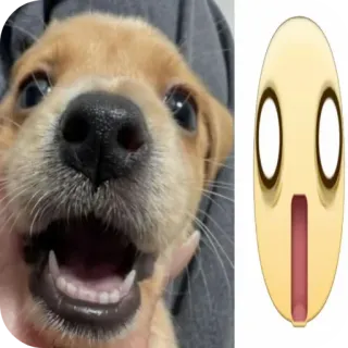 🐶 chien, chiot, emoji, choqué, surpris, réaction telegram sticker