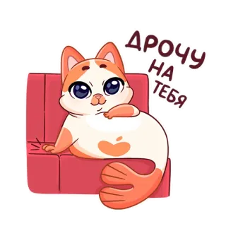 😁 ДРОЧУ НА ТЕБЯ kucing, ofensif, rusia, hewan, stiker telegram sticker