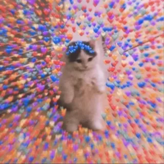 ❤ gato, gatito, corazones, lindo, corona de flores, adorable, animal whatsapp sticker