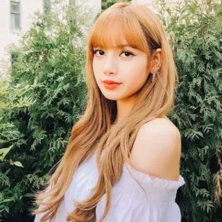 🌼 Lisa femme, portrait, kpop, chanteuse, Lisa, idole whatsapp sticker