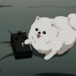 ⛓ dog, pomeranian, cute, animal, white, fluffy whatsapp sticker