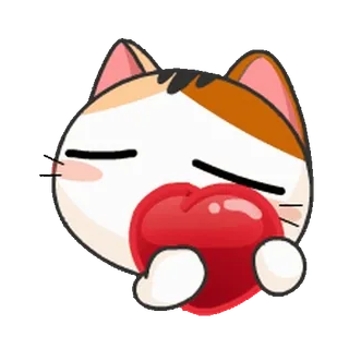 ❤️ แมว, หัวใจ, ความรัก, น่ารัก, สติกเกอร์, แมวสามสี telegram sticker