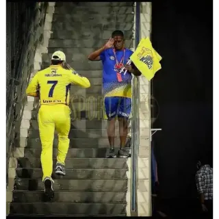💛 Cricket, Sports, Chennai Super Kings, Indian Premier League whatsapp sticker