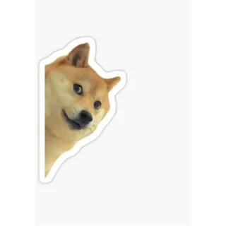 🙃 Doge perro, meme, mascota, animal, internet, gracioso, lindo telegram sticker