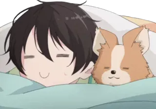 😴 Anime, Ragazzo, Cane, Dormire, Carino, Corgi, Cartone animato telegram sticker
