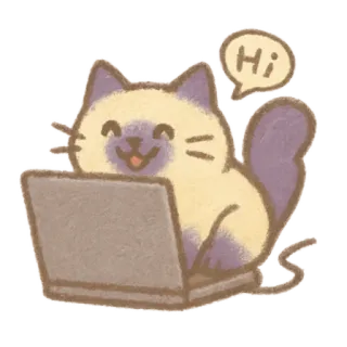 🐈‍⬛ Hi chat, ordinateur, portable, mignon, animal, salut, bonjour whatsapp sticker