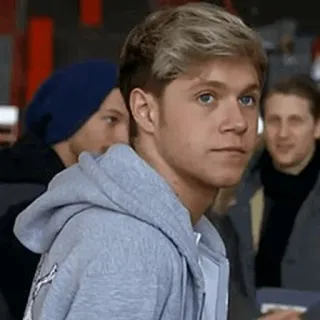 🌙 Niall Horan niall horan, one direction, promi, sänger, musiker, portrait telegram sticker
