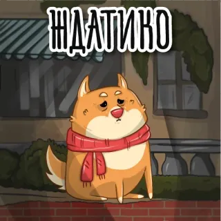 ⌛️ ЖДАТИКО dog, waiting, scarf, sad, cute, sticker, russian telegram sticker