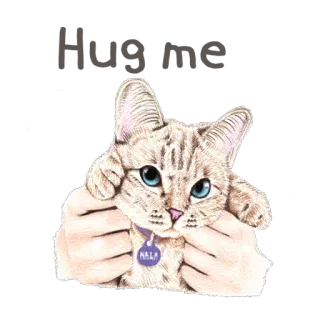 🤗 Nala 고양이, 애완동물, 귀여운, 동물, 스티커, 집고양이, 고양이 telegram sticker