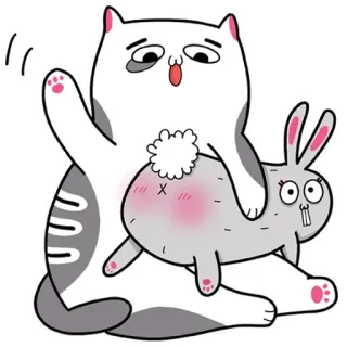 ⭕️ แมว, กระต่าย, ตลก, สัตว์, น่ารัก, การ์ตูน telegram sticker