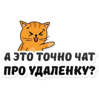 🧐 А ЭТО ТОЧНО ЧАТ ПРО УДАЛЕНКУ? gatto, domanda, russo, sticker, cartoni animati telegram sticker
