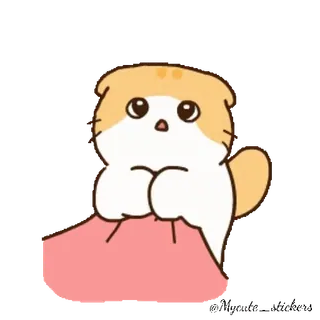 😢 gato, lindo, animal, mascota, gatito, dibujos animados, kawaii telegram sticker