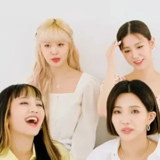 🐚 women, girls, group, female, portrait, people whatsapp sticker
