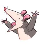 🤬 주머니쥐, 동물, 만화, 귀여운, 유대류 whatsapp sticker