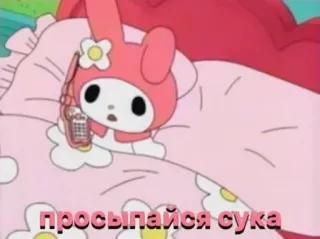 🩰 My Melody просыпайся сука my melody, cartoon, beleidigend, russischer Text telegram sticker