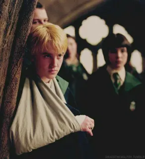 🐍 Draco Malfoy Harry Potter draco, malfoy, harry potter, slytherin, herido telegram sticker