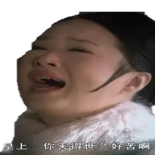 😩 皇上，你害得世兰好苦啊 crying, upset, sad, historical drama, Asian drama telegram sticker